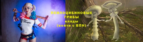 спайс Каменка