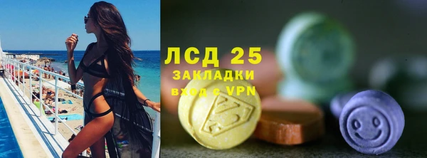 гидропоника Каменногорск