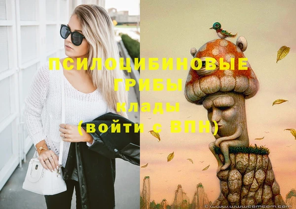 гидропоника Каменногорск