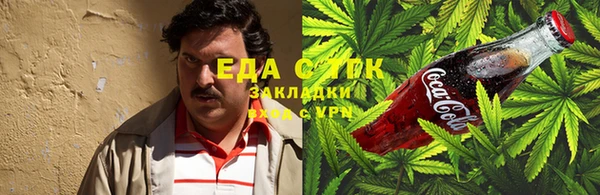 спайс Каменка