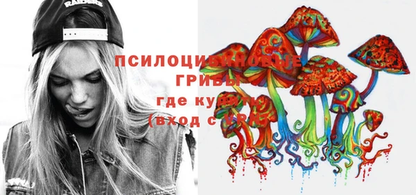 мескалин Инсар